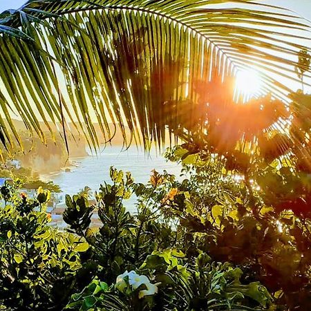 1 Coco Bambu Pipa Apto 1, A 200 M Da Praia E A 100 M Do Centro Da Cidade Praia de Pipa Eksteriør billede