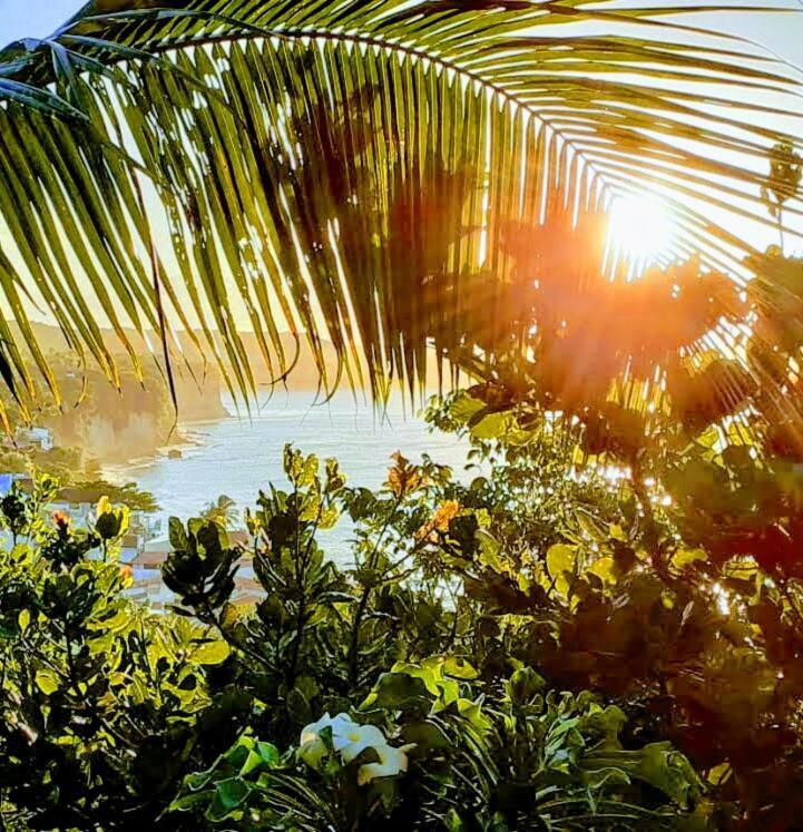 1 Coco Bambu Pipa Apto 1, A 200 M Da Praia E A 100 M Do Centro Da Cidade Praia de Pipa Eksteriør billede