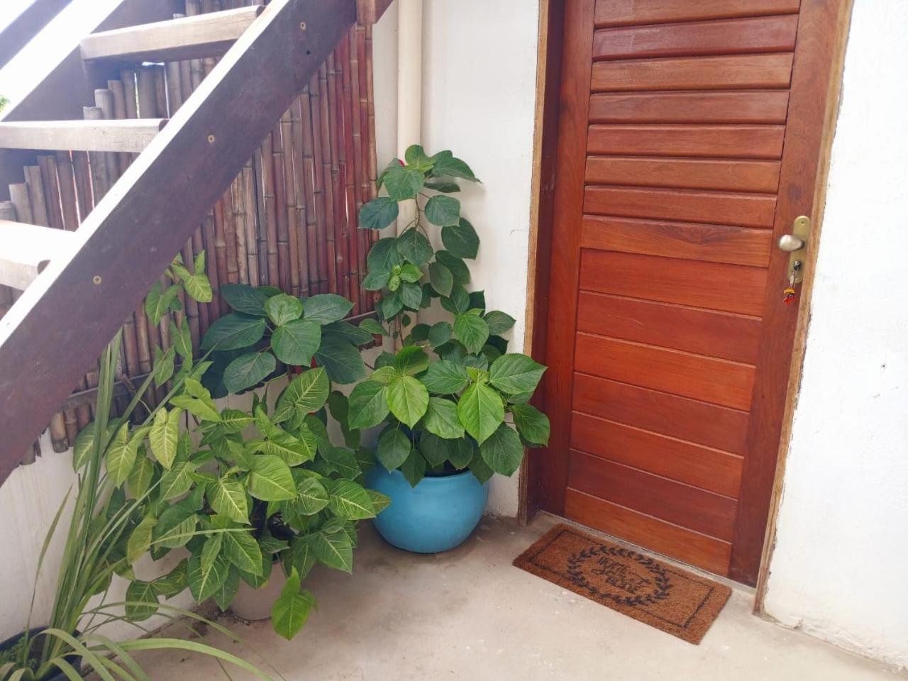 1 Coco Bambu Pipa Apto 1, A 200 M Da Praia E A 100 M Do Centro Da Cidade Praia de Pipa Eksteriør billede
